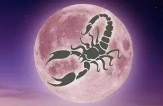 月亮天蠍男人 月亮天蠍男人