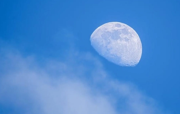 獅子座雙魚座性格