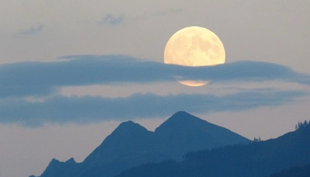 獅子座雙魚座性格