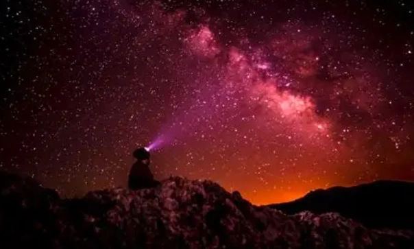 處女座最合星座