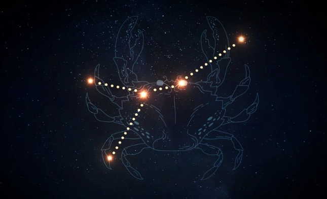 上升雙魚情感建議