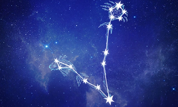 水象星座相處 水象星座相處