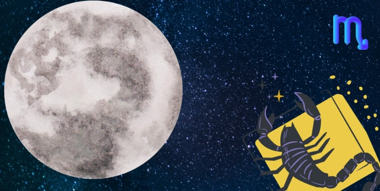 星座元素解析 星座元素解析