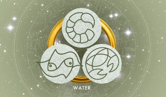 水象星座性格 水象星座性格