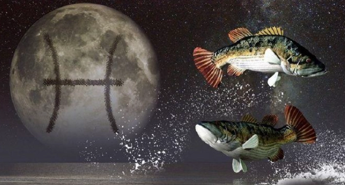 上升雙魚太陽雙魚