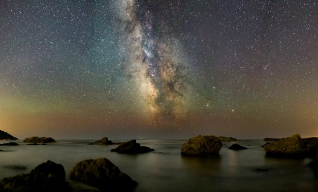 上升雙魚情感建議