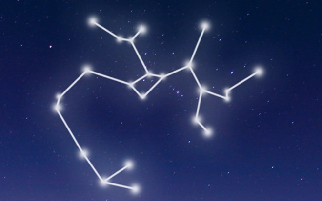 摩羯座跟什麼星座最不合