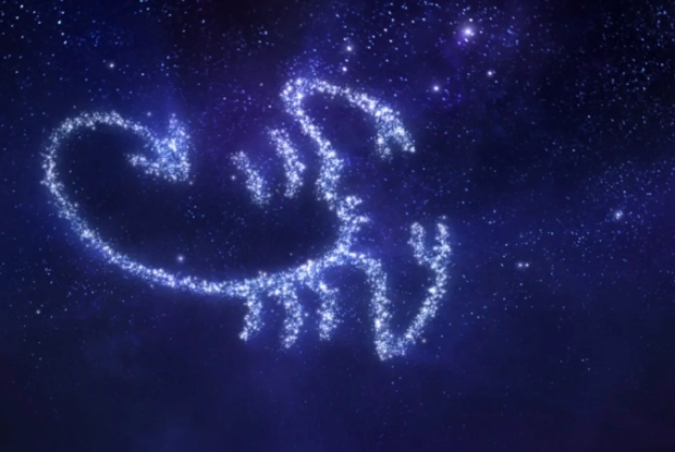 星座愛情配對 星座愛情配對