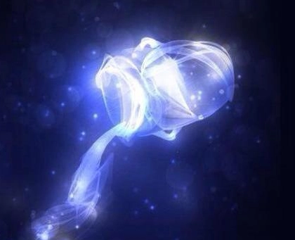 水瓶男與天秤女