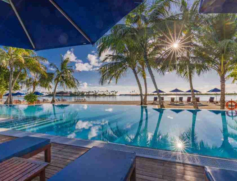 如何知道雙魚男喜歡你