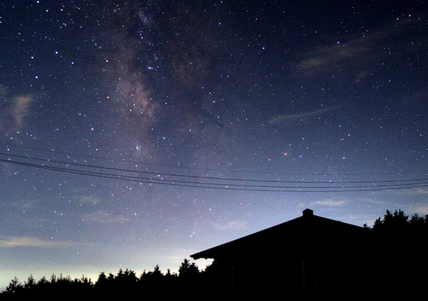 雙魚男 獅子女 配對