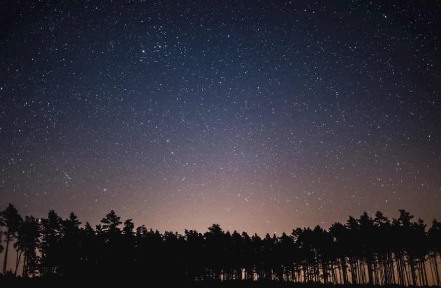 如何判斷雙魚女喜歡你 如何判斷雙魚女喜歡你