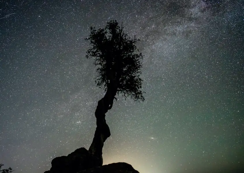 雙子男 認定老婆