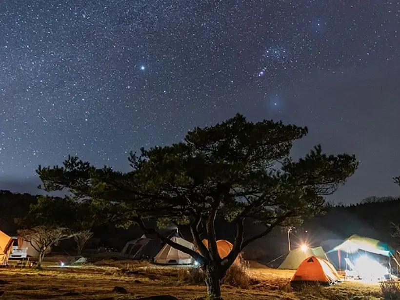 雙魚座情侶相處