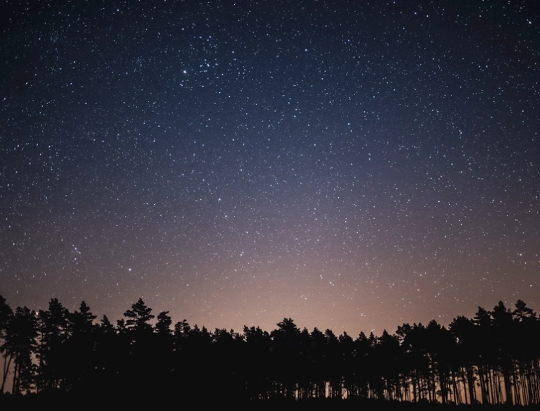 雙魚座愛情分析