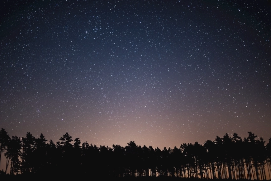 雙魚座最不合 雙魚座最不合