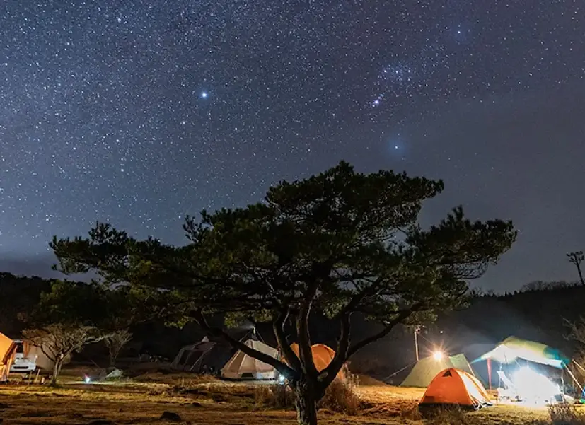 雙子座最合星座