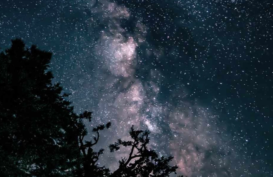 雙子女 金星 喜好