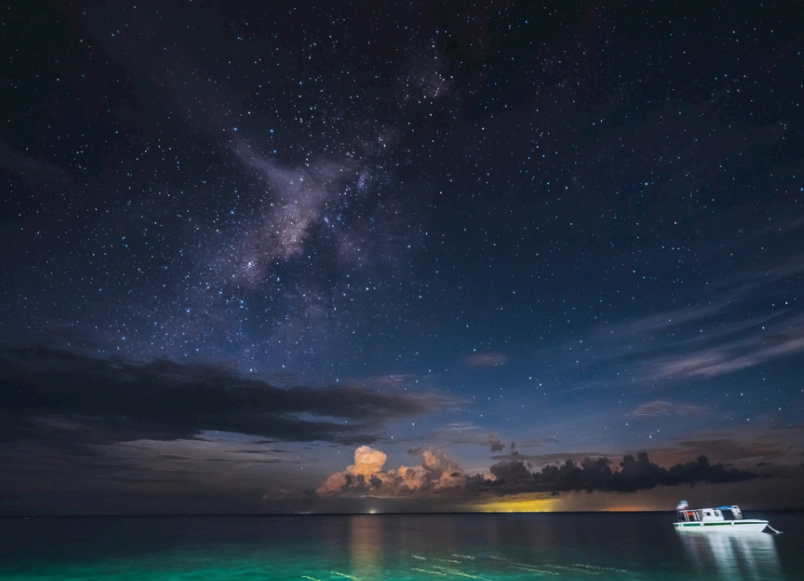 雙子女 金星 喜好