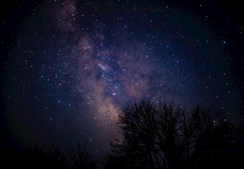 雙子女 愛情攻略