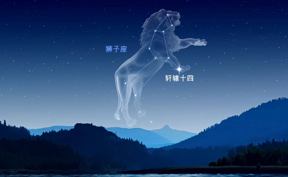 怎麼知道獅子女喜歡你