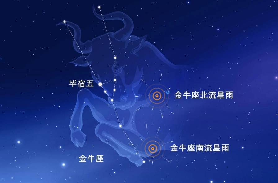 金牛女喜歡一個人的表現 金牛女喜歡一個人的表現