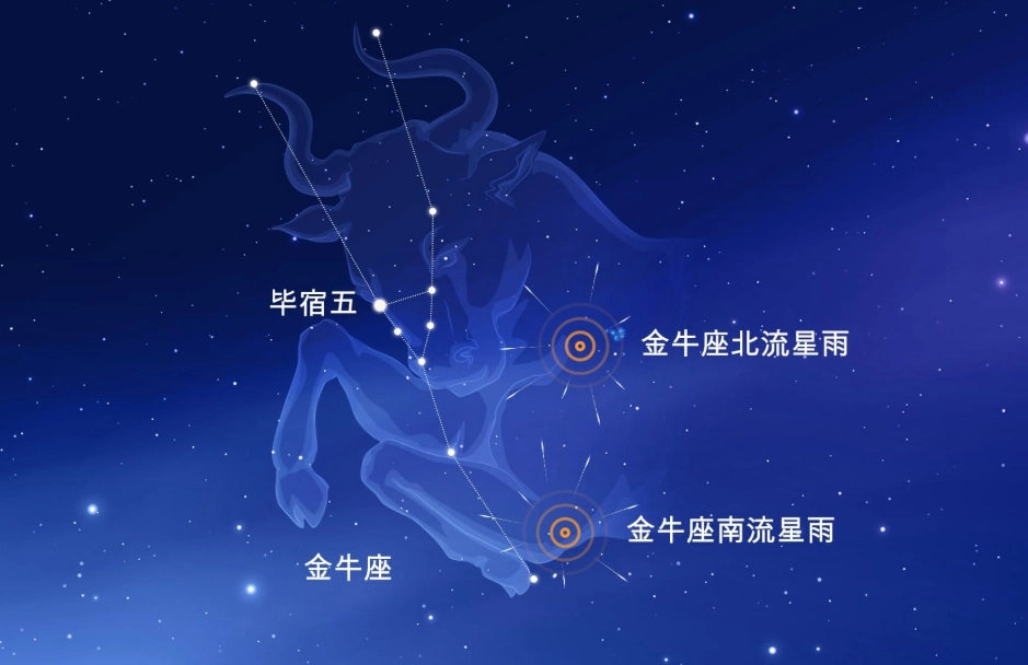 追金牛女