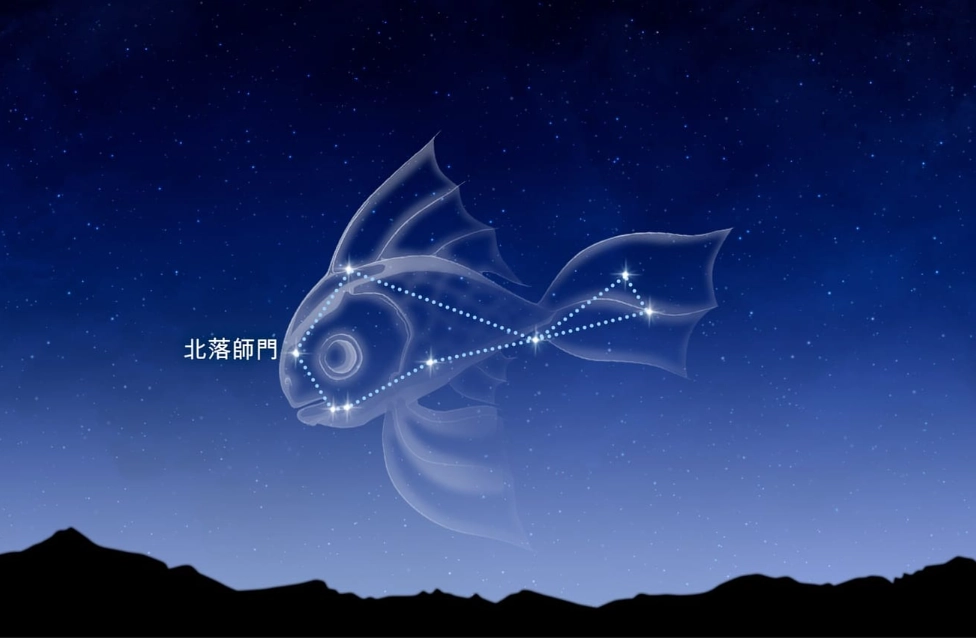 雙魚座愛情 雙魚座愛情