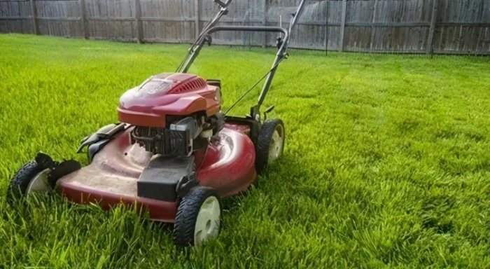 地毯草修剪工具