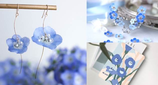 藍色花象徵意義