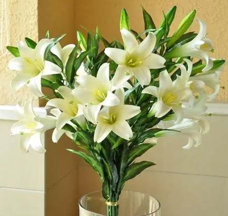 百合花顏色代表意義