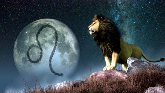 金星在獅子座 金星在獅子座