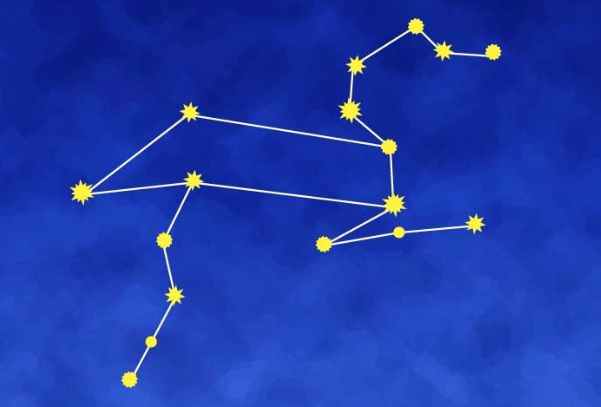 獅子女性格分析 獅子女性格分析