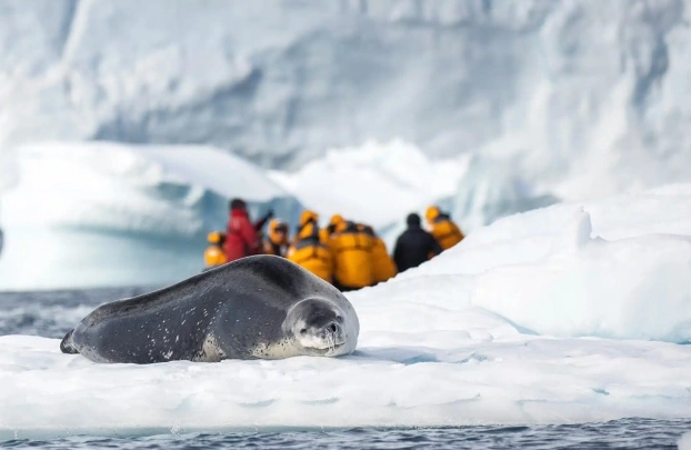 南極旅遊攻略 南極旅遊攻略