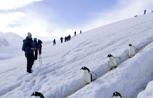 南極行程費用 南極行程費用