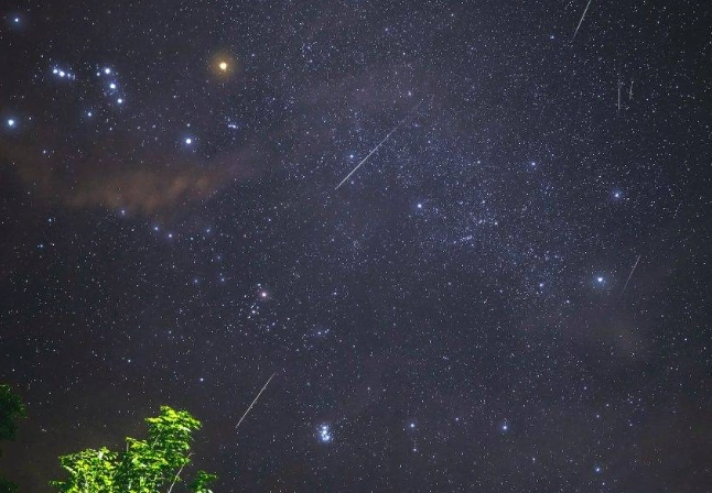 流星雨觀測