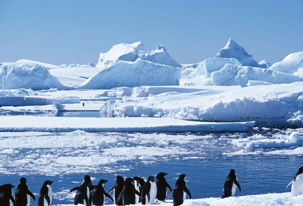 南極科學考察站