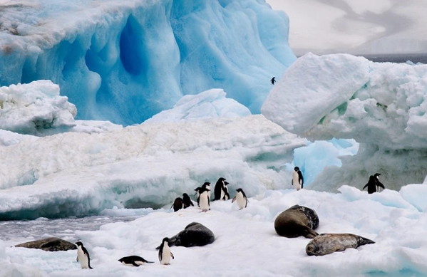 南極科學考察站