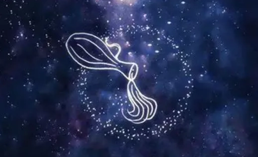 水瓶雙魚座特質