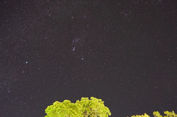 獅子座性格分析 獅子座性格分析