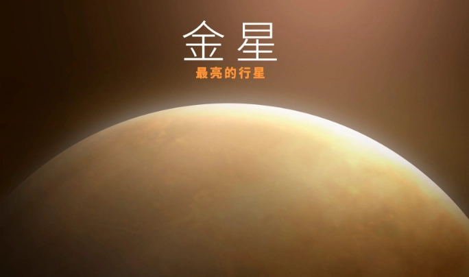 星座愛情分析