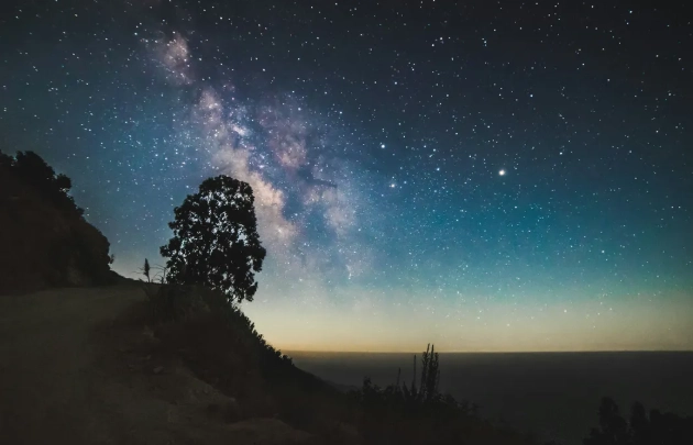 金星牡羊太陽雙魚解析