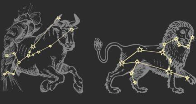 金牛座跟獅子座合嗎？深度解析土象與火象星座的愛情相容性與相處秘訣