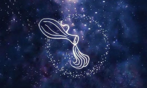 水瓶座男分析 水瓶座男分析