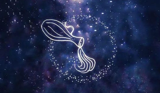 水瓶座的特点 水瓶座的特点
