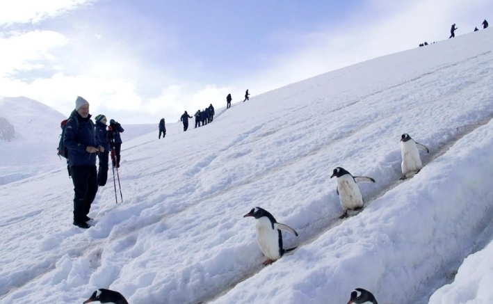 南極旅行月份 南極旅行月份