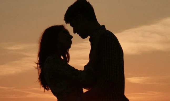 上升星座 伴侶 上升星座 伴侶