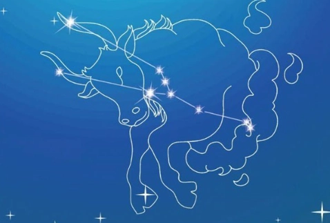 金牛座不合星座