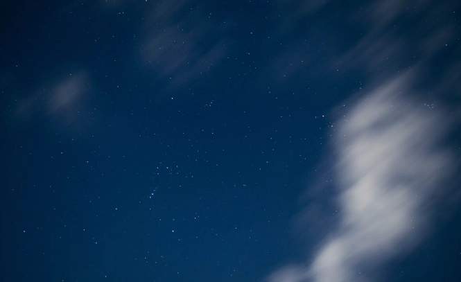 獅子男愛情攻略