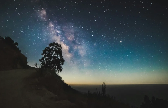 吸引獅子男的方法